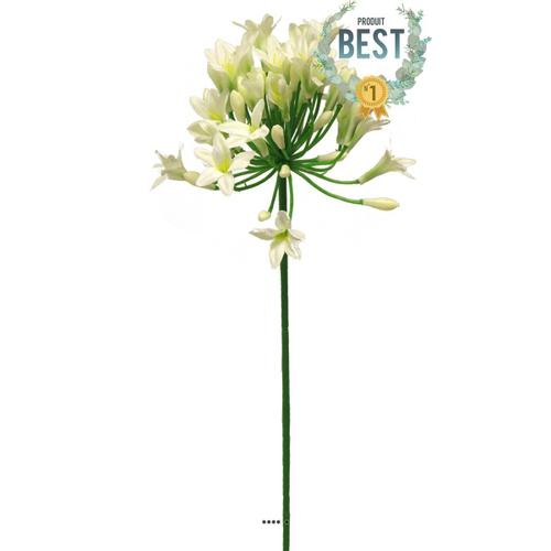 Agapanthe Artificielle En Tige H75cm, Grande Tête D14cm Crème - Best