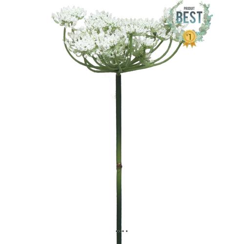 Fleur De Carotte Sauvage Artificielle En Tige, H 72 Cm Crème - Best