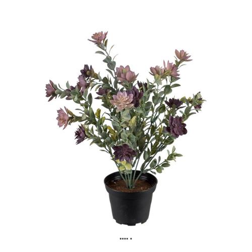 Succulente Fleurie Factice En Pot Cactée Violet H30cm D25cm Plastique