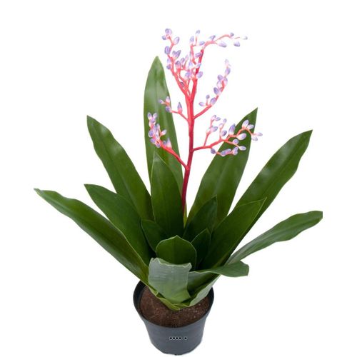 Bromélia artificielle en pot, avec bouton de fleurs, H 40 cm