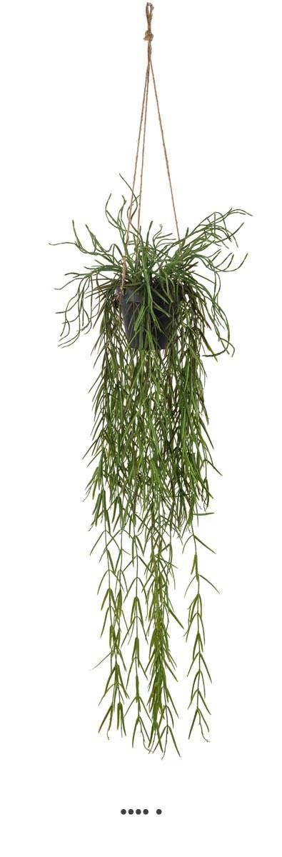 Cactus Rhipsalis Artificiel En Pot Suspendu L 95 Cm, D 37 Cm