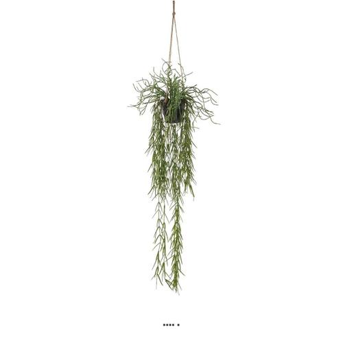 Cactus Rhipsalis Artificiel En Pot Suspendu L 80 Cm, D 30 Cm