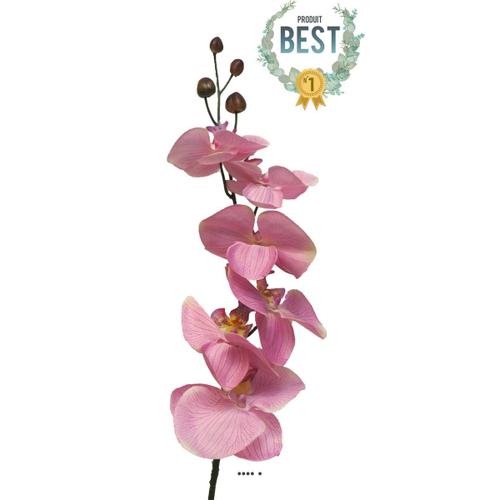 Tige D’Orchidée Phalaenopsis Artificielle, H 78 Cm Rose - Best