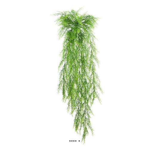 Chute D'asparagus Sprengeri Artificiel L 75 Cm Lg 30 Cm Plastique