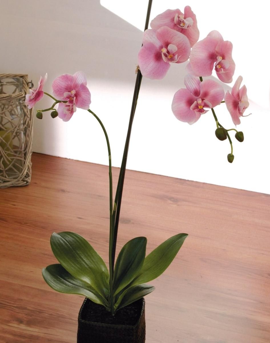 Sublime Orchidée Artificielle En Pot H 75 Cm Rose-Crème