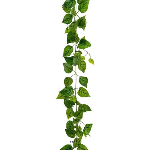 Jolie Guirlande De Philodendron Artificiel L 210 Cm