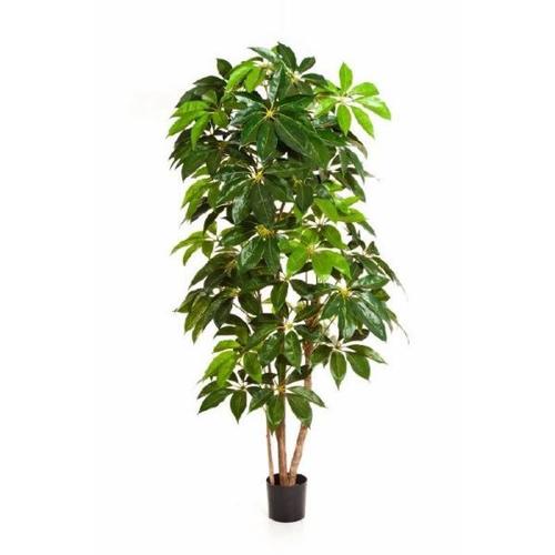 Schefflera Artificiel H 220 Cm 420 Feuilles En Pot Superbe Et Rare