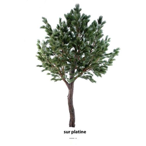 Pin Geant Artificiel H 450 Cm Tronc Fibre De Verre Et Bois Feuillage Pe L 300 Cm Sur Platine