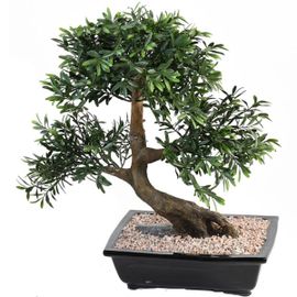 Bonsaï Saule Noir Artificiel H 50 Cm D 45 Cm En Pot