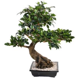 Bonsaï Ficus Artificiel H 80 Cm D 77 Cm En Pot
