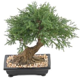 Bonsaï Genévrier Artificiel H 30 Cm D 30 Cm En Pot