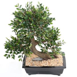 Bonsaï Orme De Chine Artificiel H 50 Cm D 45 Cm En Pot