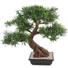 Bonsaï Podocarpus Artificiel H 80 Cm D 78 Cm En Pot