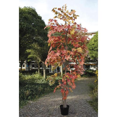 Erable Arbre Artificiel H 330 Cm Automnal Tres Dense En Pot