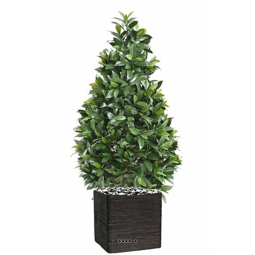 Laurier Artificiel Sur Tronc Pour Extérieur Forme Cône H 130 Cm L 50 Cm