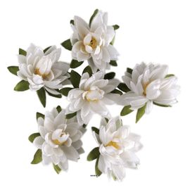 Têtes De Lotus X6 Blanc Neige En Sachet D 7 50 Cm