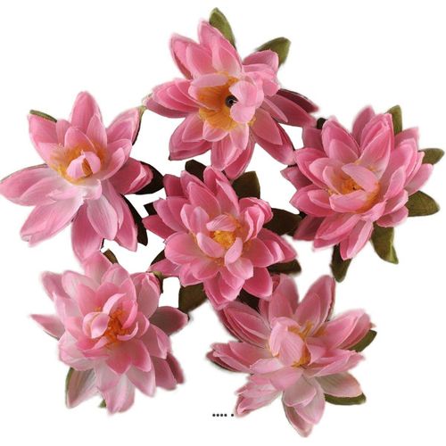 Têtes De Lotus X6 Rose Chaud En Sachet D 7 50 Cm