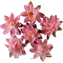 Têtes De Lotus X6 Rose Chaud En Sachet D 7 50 Cm