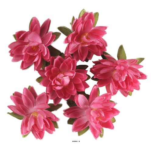 Têtes De Lotus X6 Rose Fuschia En Sachet D 7 50 Cm