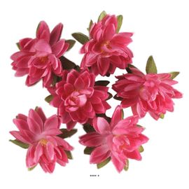 Têtes De Lotus X6 Rose Fuschia En Sachet D 7 50 Cm