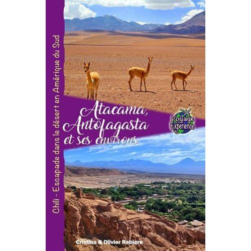Atacama, Antofagasta Et Les Environs