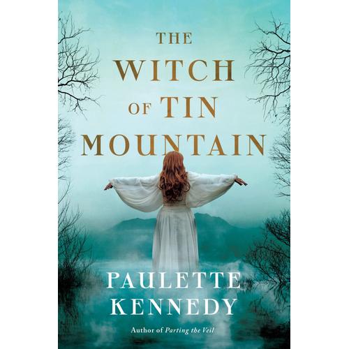 The Witch Of Tin Mountain