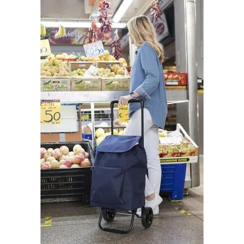 Poussette de marche - chariot de marche No manufacturer - 0102616 - CARRO DE LA COMPRA Argo Urban