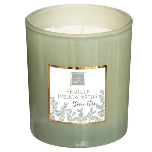 Bougie parfumée "Mael" - eucalyptus 190g - Vert clair - Atmosphera createur d'interieur