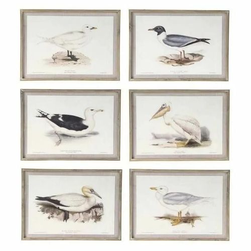 cadre 70 x 2,5 x 50 cm traditionnel oiseaux (6 pièces)