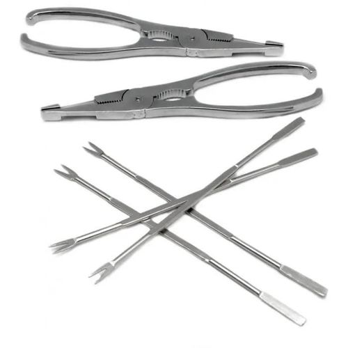 Nerthus Fih 259 Ensemble De Fruits De Mer En Acier Inoxydable, Deux Pinces Et Quatre Brochettes