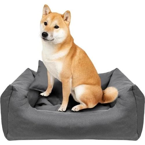 Creative Pets Coussin Chien 65 X 55 X 19 Cm Gris | Panier Chien Lavable En Machine | Petit Et Moyen Chien | Doux Et Anti Stress