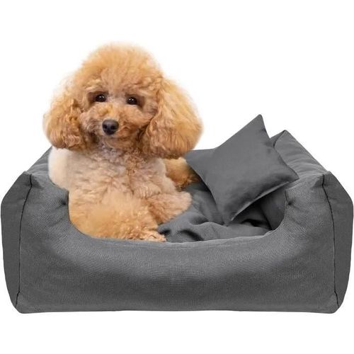 Creative Pets Coussin Chien 55 X 45 X 19 Cm Gris | Panier Chien Lavable En Machine | Petit Et Moyen Chien | Doux Et Anti Stress