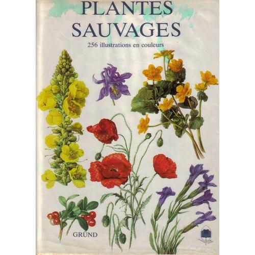 Plantes Sauvages