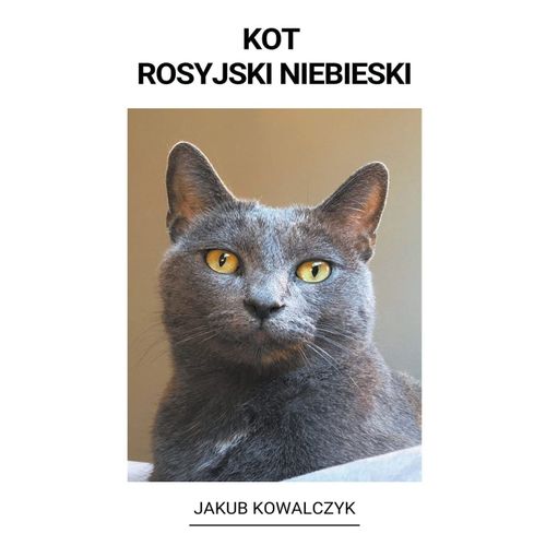 Kot Rosyjski Niebieski