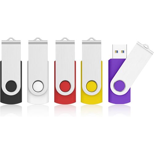 Clé USB 32 Go Lot de 5 Clef USB 3.0 Grande Vitesse Stockage Externe Mémoire Porte Clé (32 Go-3.0, Clip d'argent)