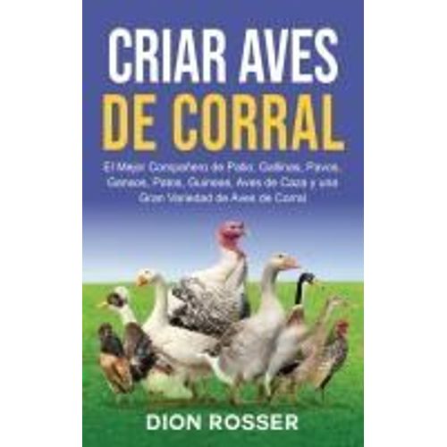 Criar Aves De Corral