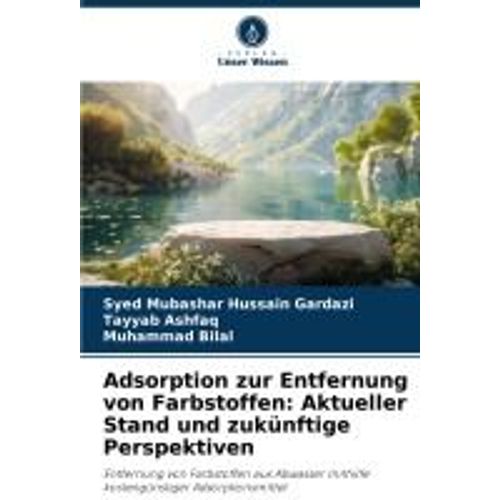 Adsorption Zur Entfernung Von Farbstoffen: Aktueller Stand Und Zukünftige Perspektiven