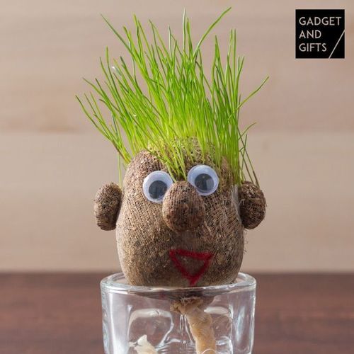 Jeu Enfant - Tête D'¿Uf En Herbe - Jardinage - Idées Cadeaux