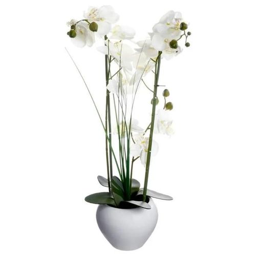Vase céramique blanc pour orchidée - 53cm
