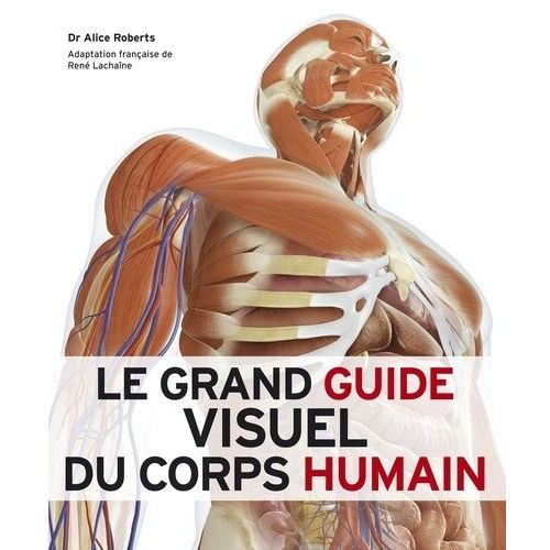 Le Grand Guide Visuel Du Corps Humain