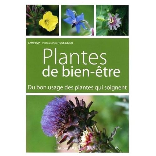 Plantes De Bien-Être - Du Bon Usage Des Pantes Qui Soignent