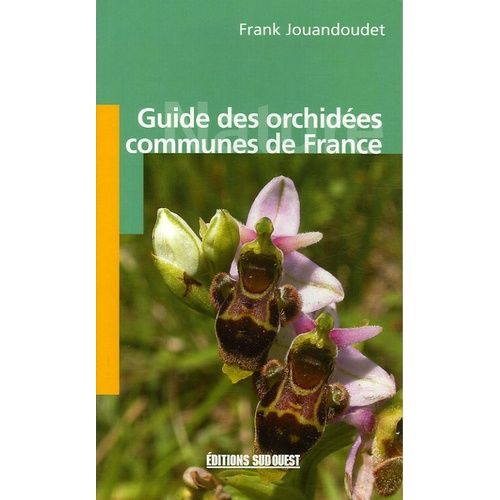 Guide Des Orchidées Communes De France