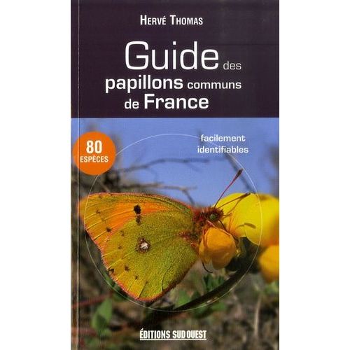 Guide Des Papillons Communs De France