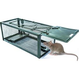 Cage Piège à Rat Vivant - 30 cm Grand - Réutilisable Piege a