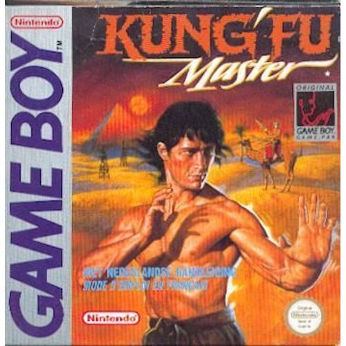 Kung'fu Master Game Boy