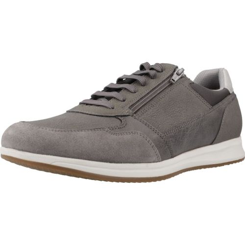 Geox U Avery Colour Gris