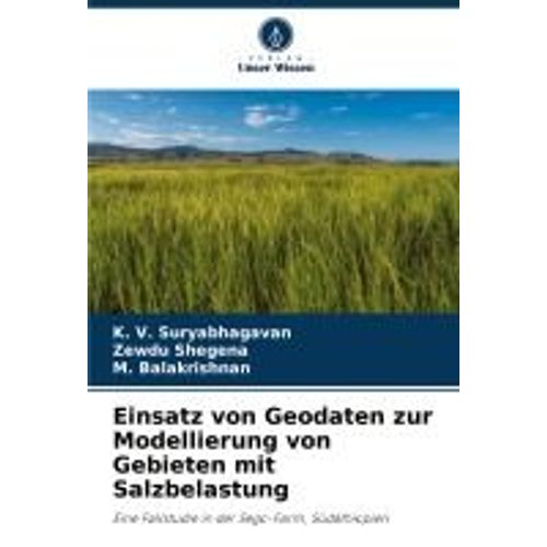 Einsatz Von Geodaten Zur Modellierung Von Gebieten Mit Salzbelastung