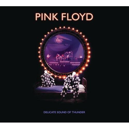 Pink Floyd - Delicate Sound Of Thunder 2cd [Compact Discs]