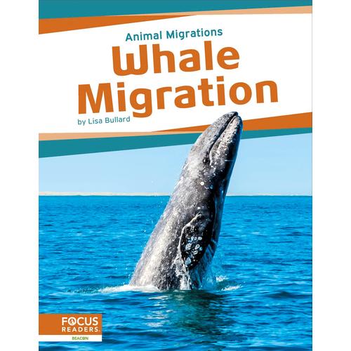 Whale Migration