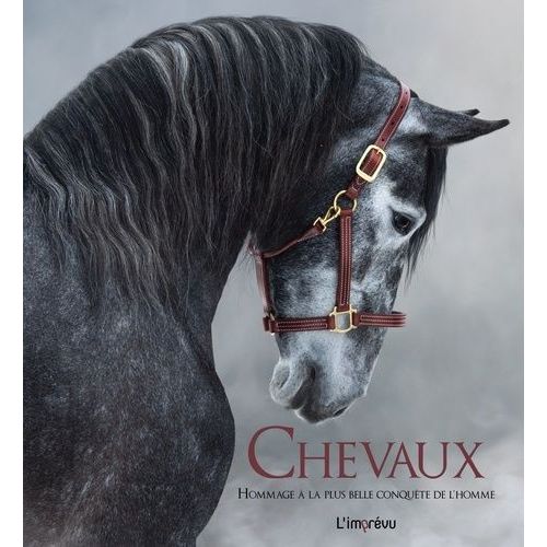 Chevaux - Hommage À La Plus Belle Conquête De L'homme